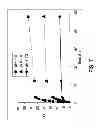 Fig. 08 - Amphoteric Materials Based on Crosslinked Hyaluronic Acid, Method of Preparation Thereof, Materials Containing Entrapped Active Agents, Method of Preparation Thereof, and Use of Said Materials