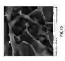 Fig. 22 - Amphoteric Materials Based on Crosslinked Hyaluronic Acid, Method of Preparation Thereof, Materials Containing Entrapped Active Agents, Method of Preparation Thereof, and Use of Said Materials