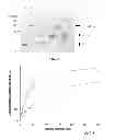 Fig. 05 - Recombinant factor VIII having enhanced stability following mutation at the A1-C2 domain interface
