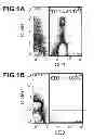 Fig. 02 - Method for amplifying NK cells