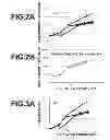 Fig. 03 - Method for amplifying NK cells