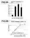 Fig. 06 - Method for amplifying NK cells