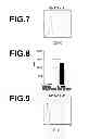 Fig. 07 - Method for amplifying NK cells