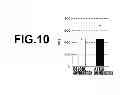 Fig. 08 - Method for amplifying NK cells