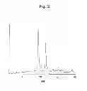 Fig. 04 - Reduced coenzyme Q10 crystal having excellent stability