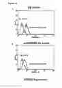 Fig. 22 - Modulation of NKG2D for prolonging survival of a hematopoietic graft