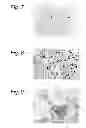 Fig. 06 - Cross-linking polypeptide that induces apoptosis