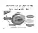 Fig. 02 - Generation of new pancreatic beta cells