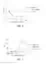 Fig. 07 - Anti-CD40 antibodies and methods of use