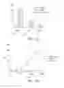 Fig. 11 - Anti-CD40 antibodies and methods of use