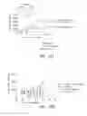 Fig. 13 - Anti-CD40 antibodies and methods of use