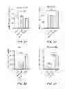Fig. 05 - Stimulation of Arterial Collateral Growth and Lymphogenesis