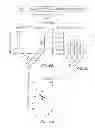 Fig. 12 - Stimulation of Arterial Collateral Growth and Lymphogenesis