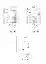 Fig. 16 - Stimulation of Arterial Collateral Growth and Lymphogenesis