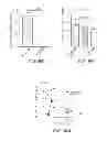 Fig. 17 - Stimulation of Arterial Collateral Growth and Lymphogenesis