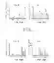 Fig. 18 - Stimulation of Arterial Collateral Growth and Lymphogenesis