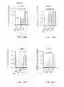 Fig. 20 - Stimulation of Arterial Collateral Growth and Lymphogenesis