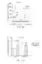 Fig. 22 - Stimulation of Arterial Collateral Growth and Lymphogenesis