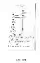 Fig. 23 - Stimulation of Arterial Collateral Growth and Lymphogenesis