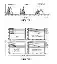 Fig. 03 - ANGIOGENIC AND IMMUNOLOGIC APPLICATIONS OF ANTI-CD160 SPECIFIC COMPOUNDS OBTAINABLE FROM mAb CL1-R2