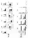 Fig. 05 - ANGIOGENIC AND IMMUNOLOGIC APPLICATIONS OF ANTI-CD160 SPECIFIC COMPOUNDS OBTAINABLE FROM mAb CL1-R2