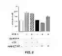 Fig. 10 - ANGIOGENIC AND IMMUNOLOGIC APPLICATIONS OF ANTI-CD160 SPECIFIC COMPOUNDS OBTAINABLE FROM mAb CL1-R2