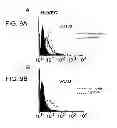 Fig. 11 - ANGIOGENIC AND IMMUNOLOGIC APPLICATIONS OF ANTI-CD160 SPECIFIC COMPOUNDS OBTAINABLE FROM mAb CL1-R2
