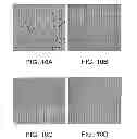 Fig. 12 - ANGIOGENIC AND IMMUNOLOGIC APPLICATIONS OF ANTI-CD160 SPECIFIC COMPOUNDS OBTAINABLE FROM mAb CL1-R2