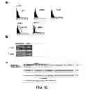 Fig. 17 - ANGIOGENIC AND IMMUNOLOGIC APPLICATIONS OF ANTI-CD160 SPECIFIC COMPOUNDS OBTAINABLE FROM mAb CL1-R2