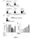 Fig. 19 - ANGIOGENIC AND IMMUNOLOGIC APPLICATIONS OF ANTI-CD160 SPECIFIC COMPOUNDS OBTAINABLE FROM mAb CL1-R2