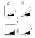 Fig. 20 - ANGIOGENIC AND IMMUNOLOGIC APPLICATIONS OF ANTI-CD160 SPECIFIC COMPOUNDS OBTAINABLE FROM mAb CL1-R2