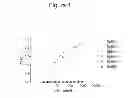 Fig. 06 - Antibodies to EphA3