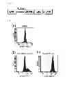 Fig. 02 - Cell capable of expressing exogenous GITR ligand