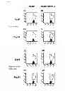 Fig. 04 - Cell capable of expressing exogenous GITR ligand