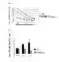 Fig. 10 - Cell capable of expressing exogenous GITR ligand