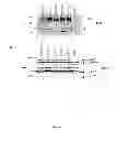 Fig. 04 - Recombinant HCV E2 glycoprotein