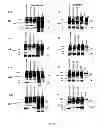 Fig. 07 - Recombinant HCV E2 glycoprotein