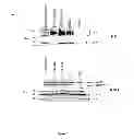 Fig. 08 - Recombinant HCV E2 glycoprotein