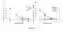 Fig. 27 - Recombinant HCV E2 glycoprotein