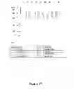 Fig. 28 - Recombinant HCV E2 glycoprotein