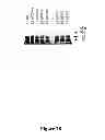 Fig. 29 - Recombinant HCV E2 glycoprotein