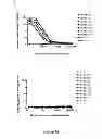 Fig. 31 - Recombinant HCV E2 glycoprotein