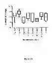Fig. 32 - Recombinant HCV E2 glycoprotein