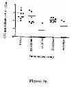 Fig. 37 - Recombinant HCV E2 glycoprotein
