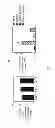 Fig. 02 - MIR-155 ENHANCEMENT OF CD8+ T CELL IMMUNITY