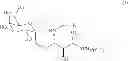 Fig. 11 - Pharmaceutical compositions comprising attenuated sporozoites and glycolipid adjuvants