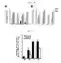 Fig. 07 - Methods for inducing an immune response via buccal and/or sublingual administration of a vaccine