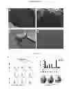 Fig. 10 - Methods for inducing an immune response via buccal and/or sublingual administration of a vaccine
