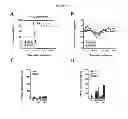 Fig. 11 - Methods for inducing an immune response via buccal and/or sublingual administration of a vaccine