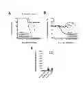 Fig. 12 - Methods for inducing an immune response via buccal and/or sublingual administration of a vaccine